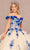 Elizabeth K GL3105 - Floral Ornate Quinceanera Ballgown Special Occasion Dress