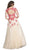 Embroidered Sheer A-Line Evening Dress Dress