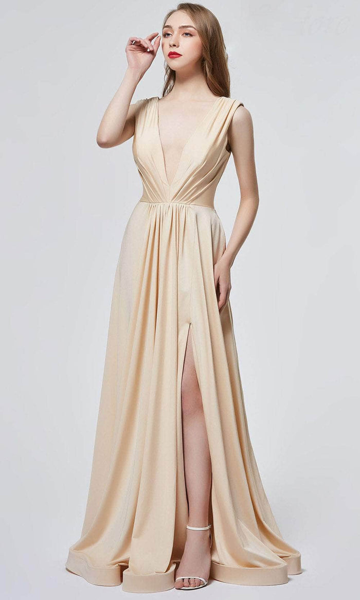 J'Adore Dresses J19021 - V-Neck Pleated Formal Gown Special Occasion Dress 2 / Champagne