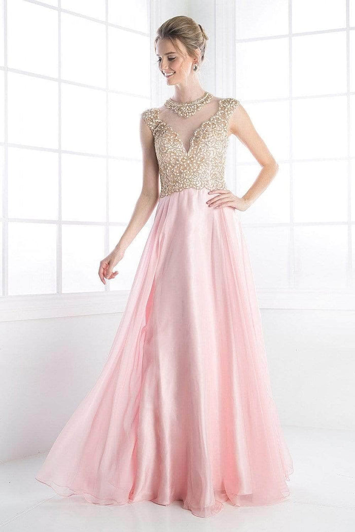 Ladivine 8732 Special Occasion Dress 2 / Blush