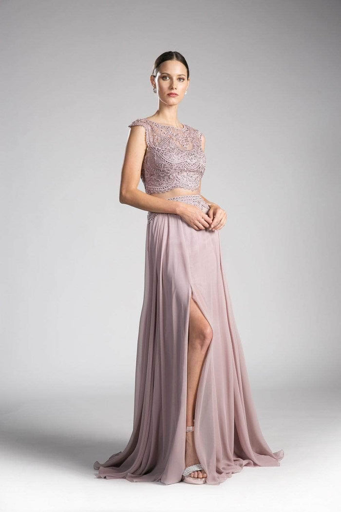 Ladivine CD0113 Special Occasion Dress XXS / Mauve