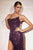 Ladivine CH165 Prom Dresses