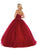 May Queen - LK106 Embroidered V-neck Ballgown Special Occasion Dress