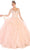 May Queen LK109 - Floral Applique Ballgown Ball Gowns 4 / Blush