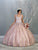 May Queen - LK149 Glitter Floral Appliqued Ballgown Quinceanera Dresses 2 / Mauve