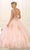 May Queen LK98 - Sheer Inset Embroidered Ballgown Ball Gowns