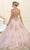 May Queen LK98 - Sheer Inset Embroidered Ballgown Ball Gowns