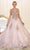 May Queen LK98 - Sheer Inset Embroidered Ballgown Ball Gowns 4 / Mauve