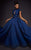 MNM COUTURE - 2444 Floral Applique High Neck Ballgown With Train Special Occasion Dress