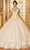 Mori Lee 34063 - 3D Florals Quinceanera Ballgown Quinceanera Dresses 00 / Chamgold