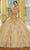 Mori Lee 34064 - Off Shoulder Neck Quinceanera Ballgown Quinceanera Dresses 00 / Chamgold