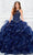 Princesa by Ariana Vara PR11940 - Halter Ruffled Ballgown Ball Gowns 00 / Navy