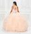 Princesa by Ariana Vara PR11940 - Halter Ruffled Ballgown Special Occasion Dress