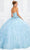 Princesa by Ariana Vara PR12005 - Beaded Sweetheart Ballgown Ball Gowns