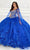 Princesa by Ariana Vara PR22021NL - Lace Floral Ballgown Ball Gowns 00 / Royal Blue