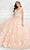 Princesa by Ariana Vara PR22021NL - Lace Floral Ballgown Ball Gowns