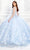 Princesa by Ariana Vara PR22021NL - Lace Floral Ballgown Ball Gowns