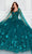 Princesa by Ariana Vara PR22021NL - Lace Floral Ballgown Ball Gowns