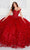 Princesa by Ariana Vara PR22021NL - Off Shoulder Applique Ballgown Ball Gowns