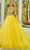 Rachel Allan 50167 - Long Sleeve Backless Evening Gown Prom Dress 00 / Yellow