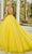 Rachel Allan 50167 - Long Sleeve Backless Evening Gown Prom Dress