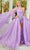 Rachel Allan 50234 - Elegant Embelished Organza Gown Special Occasion Dress 00 / Lilac