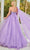 Rachel Allan 50234 - Elegant Embelished Organza Gown Special Occasion Dress