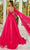 Rachel Allan 50234 - Elegant Embelished Organza Gown Special Occasion Dress