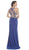 Sheer Embellished Fitted Evening Dress Dress