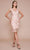 Tadashi Shoji - Lace Applique V Neck Short Fitted Dress - 1 pc Petal/Gold In Size 8 Available CCSALE 8 / Petal/Gold