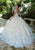 Vizcaya by Mori Lee - 34011 Strapless Ornate Floral Appliqued Ballgown Quinceanera Dresses