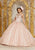 Vizcaya by Mori Lee - 89221 Chandelier Garlanded Halter Ballgown Quinceanera Dresses 0 / Rose Gold