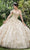 Vizcaya by Mori Lee - 89289 Floral Applique Off-Shoulder Ballgown Quinceanera Dresses 0 / Champagne/Gold