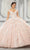 Vizcaya by Mori Lee - 89316 Applique Off Shoulder Tulle Ballgown Quinceanera Dresses 00 / Blush